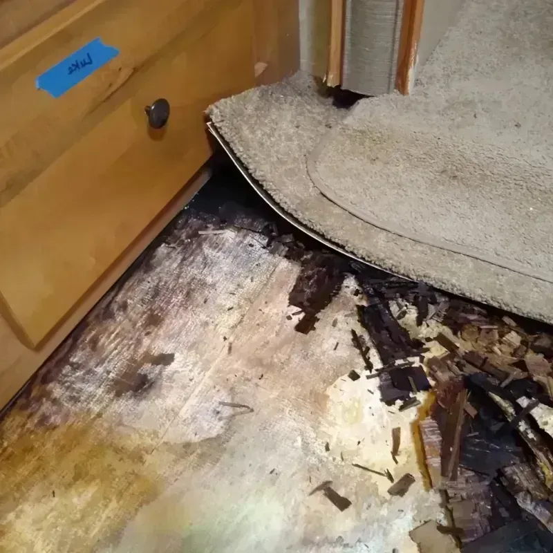 Wood Floor Water Damage in Columbia, MS